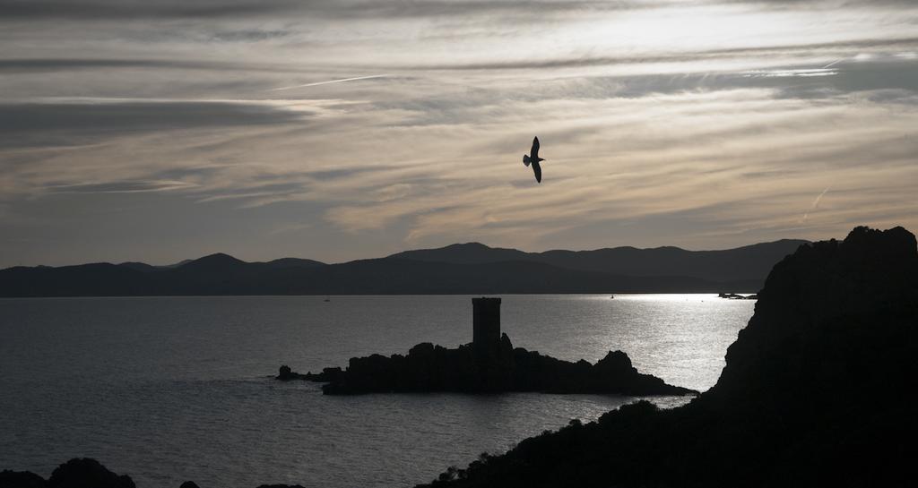 Cap Esterel Garden Flat Saint-Raphaël المظهر الخارجي الصورة